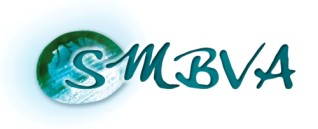 Logo Syndicat mixte du bassin versant Arly (SMBVA)