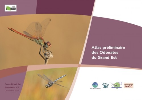 [Publication] Atlas préliminaire des odonates du Grand Est