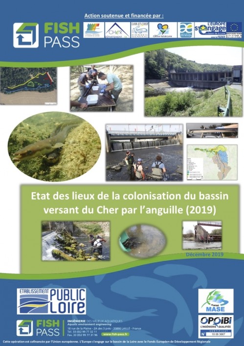 [Publication] Etat des lieux de la colonisation du bassin versant du Cher par l'anguille (2019)