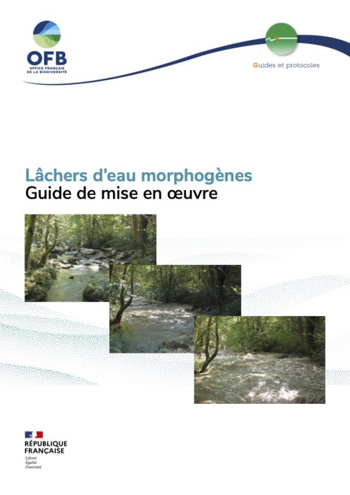 [Publication] Lâchers d'eau morphogène : Guide de mise en oeuvre