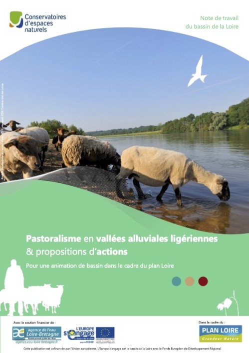 [Publication] Pastoralisme en vallées alluviales ligériennes et propositions d'actions