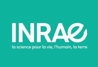 Logo Inrae